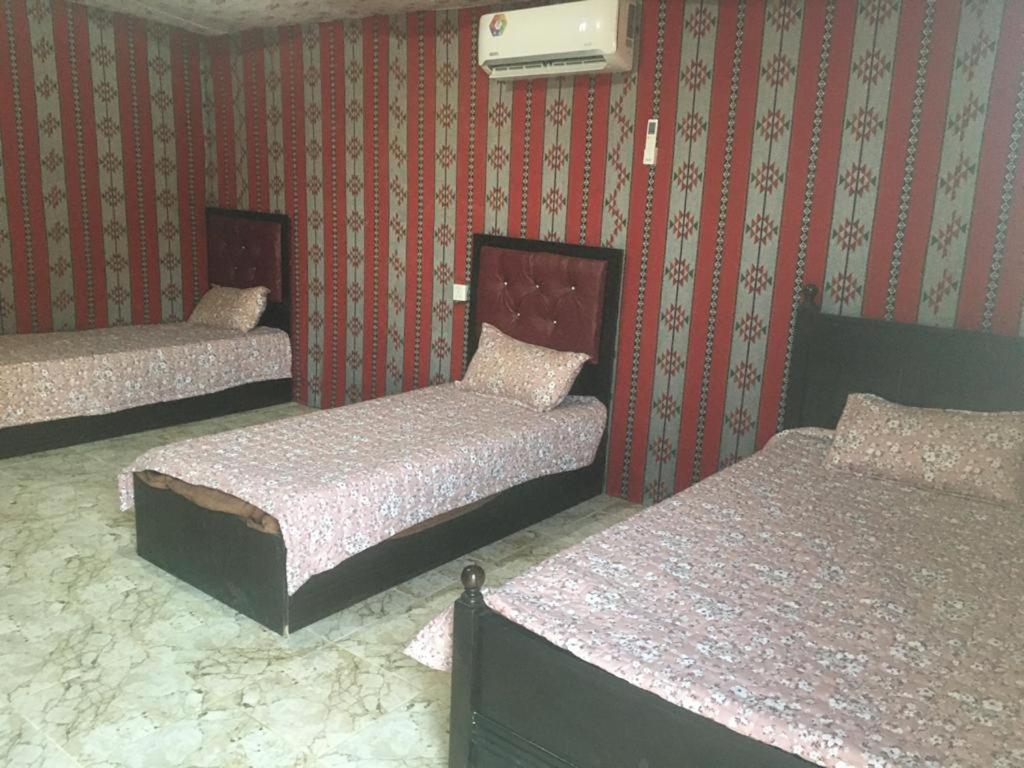 מלון וואדי רם Oryx Camp מראה חיצוני תמונה